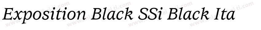 Exposition Black SSi Black Italic字体转换